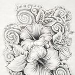 Surya ghosh - Facebook