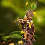 Surya Ghosh - @suryaghosh1148 - Instagram