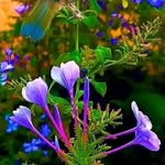 Surya Narayan - @surjya4496 - Instagram
