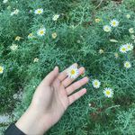 Susan Abbas - @susanabbas - Instagram