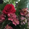Susan - @susanabbas745 - TikTok