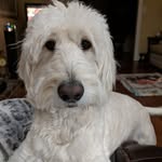 Susan Ables - @gigi1729 - Instagram