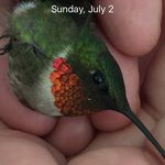 Robin Acree - @susan.acree - Instagram