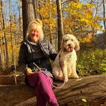 Susan Acton - @susan.acton - Instagram