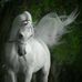 Susan Acton - Facebook