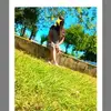 susan - @susanahernndez827 - TikTok