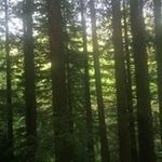 Susan Ahlquist - @ahlquistsusan - Instagram