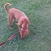 Susan Albee - Facebook