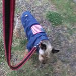 Susan Albee - @albee9496 - Instagram