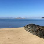 Susan Albee - @albeesusan - Instagram