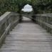 Susan Almon - Facebook