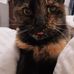 Susan Foster- Almon - Facebook