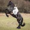 susana - @susanamore - TikTok