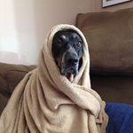 Susan Ansley - @fangnana04 - Instagram