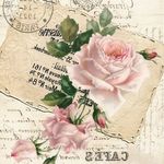Susan Elizabeth Ansley - @susanelizabethlilypixiefairy - Instagram