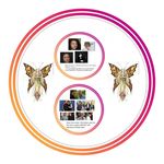 Susan Elizabeth Ansley immortal buttefly pixie faerie - @immortalbutterflypixiefaerie - Instagram