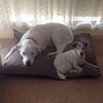 Susanne Ransley - @susanne.ransley - Instagram