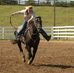 Sue Apel-Owens - Facebook