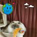 Susan Appleton - Facebook