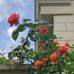 Susanna Arcuri - Facebook