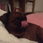 Susan Rowe - @susanardenrowe22 - Instagram
