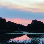 Susan Arena - @arensusan - Instagram