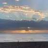 susanaronson710 - @susanaronson710 - TikTok