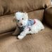 Sue Artz - Facebook