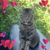 susannhartz - @susannhartz - TikTok