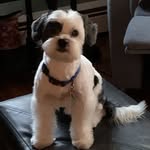 Susan Asay - @susan.asay2023 - Instagram