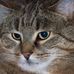 Susan Ashlock - Facebook