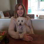 Susan Ashmore - @sueashmore1 - Instagram