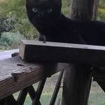 Susan Ashmore - @susan.ashmore.980 - Instagram