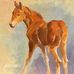 Susan Ashmore Studio - Facebook