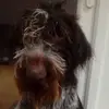 susanashurst0 - @susanashurst0 - TikTok
