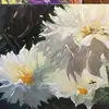 susangranieriashurst - @susangranieriashurst - TikTok