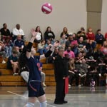 Susan Atchison - @susan.atchisvball_ - Instagram