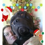 Susan Authement - Facebook