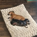 Susan Autry - @smackeyg - Instagram