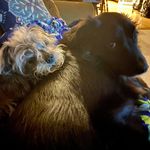 Susan Ayers - @sue_ayersmom4 - Instagram
