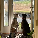 Susan Ayers - @ayersn70 - Instagram