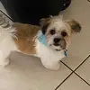 Susan Ayers - @susan_ayers352 - TikTok