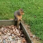 Susan Ayers - Facebook