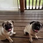 Susan Babb - @susanbabb82 - Instagram