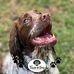 Susan Babb - Facebook