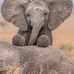Susan Baier - Facebook