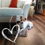 Susan Baier - @susan.baier.3 - Instagram