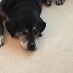 Susan Baier - @susan.b.jones.741 - Instagram