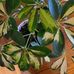 Susan Bain - Facebook