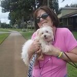 Susan Bain - @susan.bain.9400 - Instagram